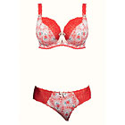Freya Nancy brief Freya Nancy brief