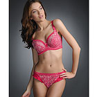 Fauve Emmanuelle brief Fauve Emmanuelle brief