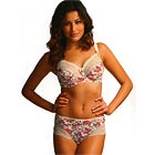 Fantasie Josephine Raspberry bras