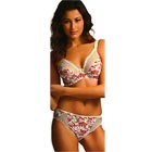 Fantasie Josephine Raspberry briefs Fantasie Josephine Raspberry briefs