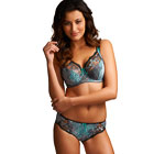 Fantasie Nicola Teal brief Fantasie Nicola Teal brief