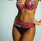 Fantasie Puerto Rico bikini briefs Fantasie Puerto Rico bikini briefs