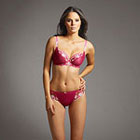 Fauve Aurelia brief