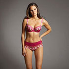 Fauve Aurelia short